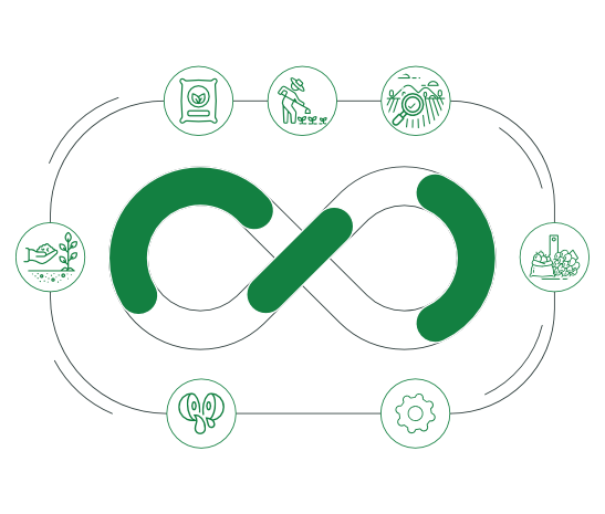 sustainable plantation eco system