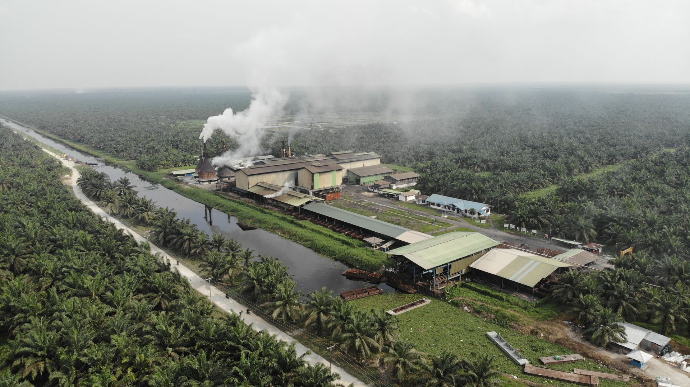 Palm Oil Mill Best Practise