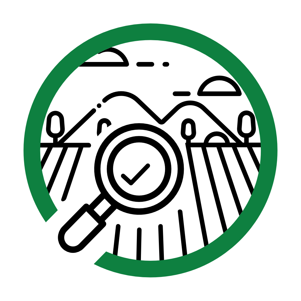 Field Isnpection Oil Palm