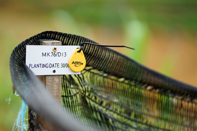Durian NFC tree tagging