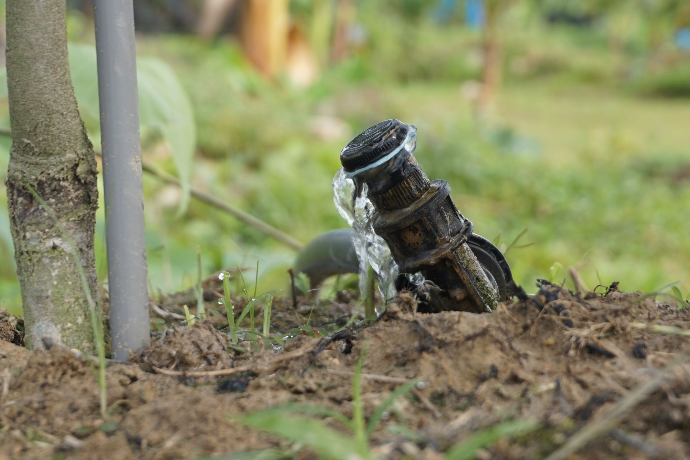 Durian water management system