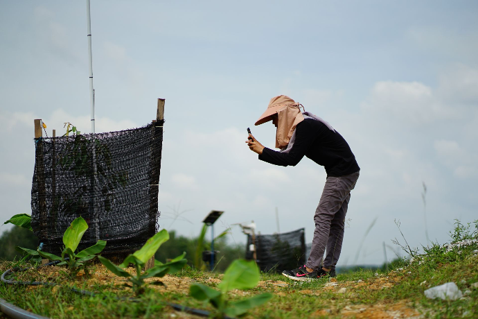 durian tree inspection loss control system