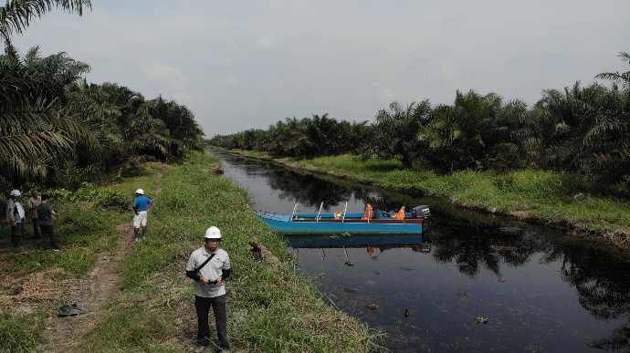 FFB Evacuation at Canal