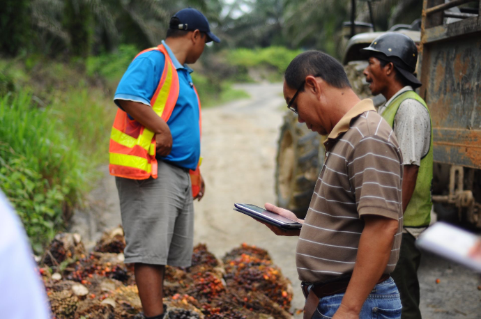 FFB Platform Grading