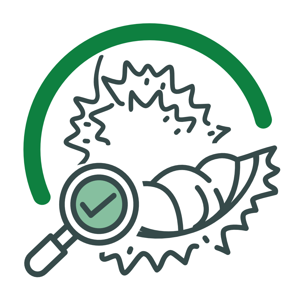 Durian quality control system