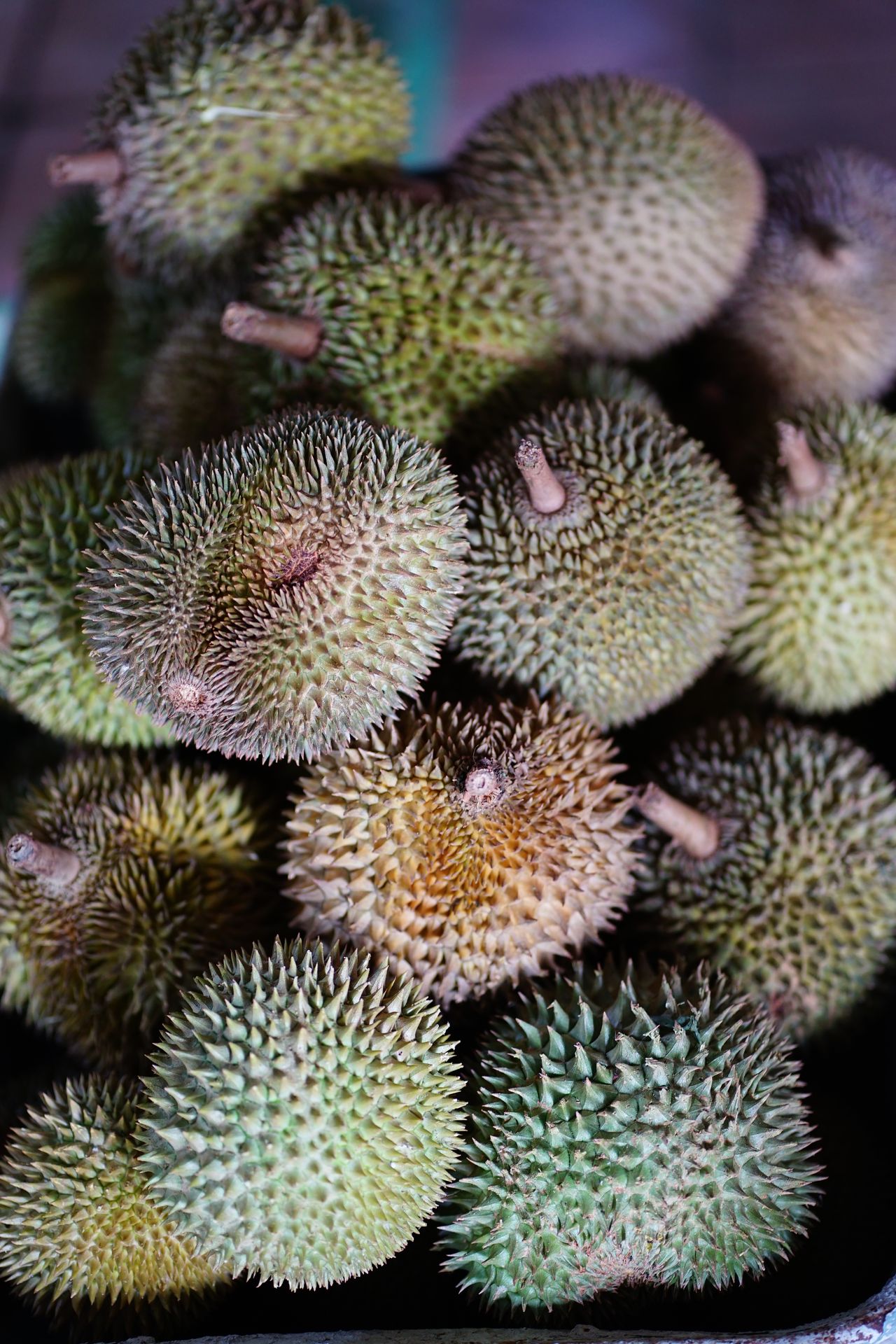 Durian smart plantation system